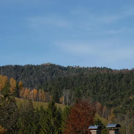 Haus Rappolder - Apartmán Mittenwald