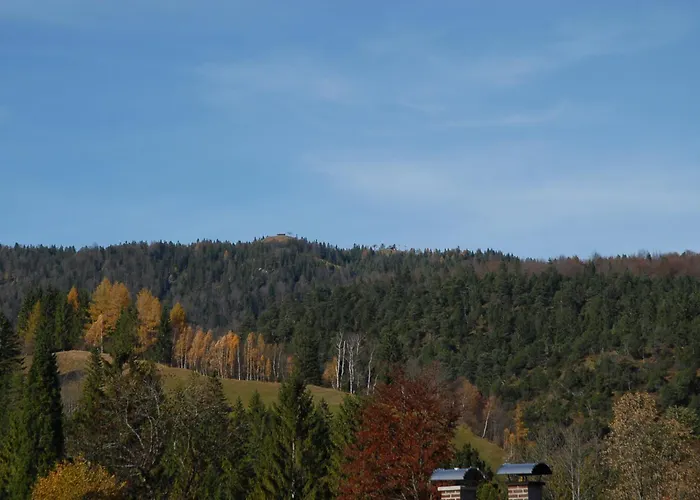 Haus Rappolder - Appartement Mittenwald